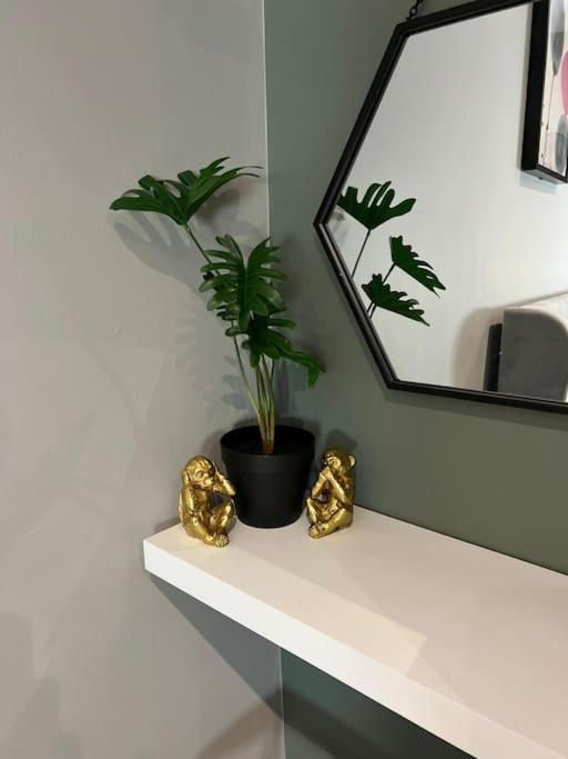 Peaceful & Stylish Brighton Studio Apartment Eksteriør bilde